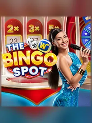 The Bingo Spot live casino game at Wave Play