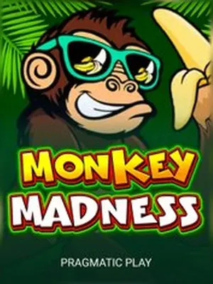Monkey Madness slot game on Wave Play
