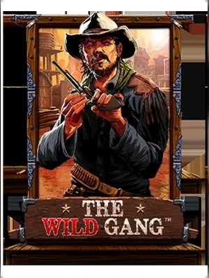 The Wild Gang slot game on Wave Play