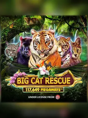 Big Cat Rescue Megaways slot game on Wave Play
